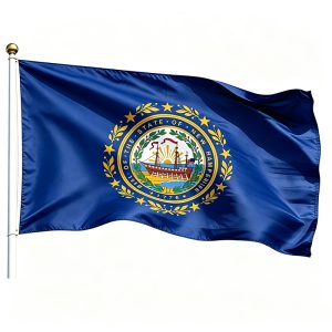 Printed New Hampshire State Flags