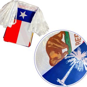 US 50 State Flags Banner String Set