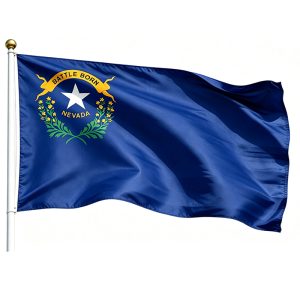 Printed Nevada State Flag.
