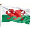 Wales Flag 3×5 Ft Printed