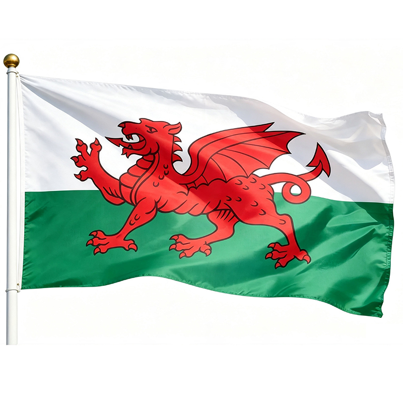 Wales Flag 3×5 Ft Printed