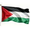 Palestine Flag 3×5 Ft Printed